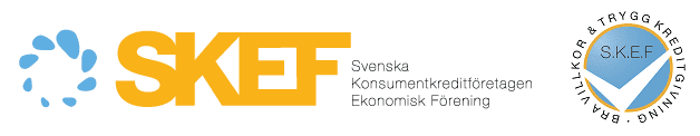 Bild på logo från SKEF